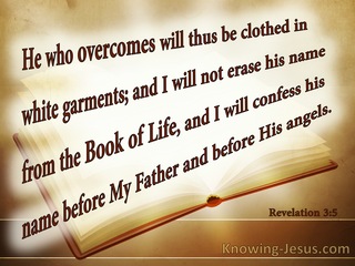 Revelation 3:5 He Who Overcomes Will Not Be Erased From The Book Of Life (beige)